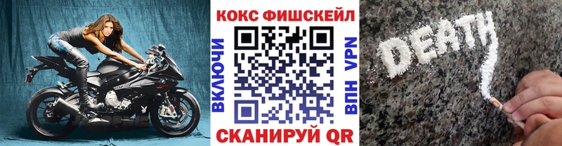 Cocaine Fish Scale  Гатчина 