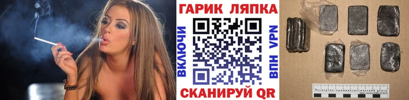 ГАШ Premium  Гатчина 
