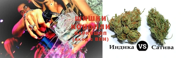 PSILOCYBIN Беломорск