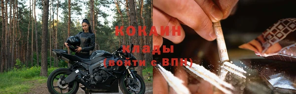 амф Богданович