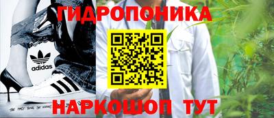 бошки Бийск