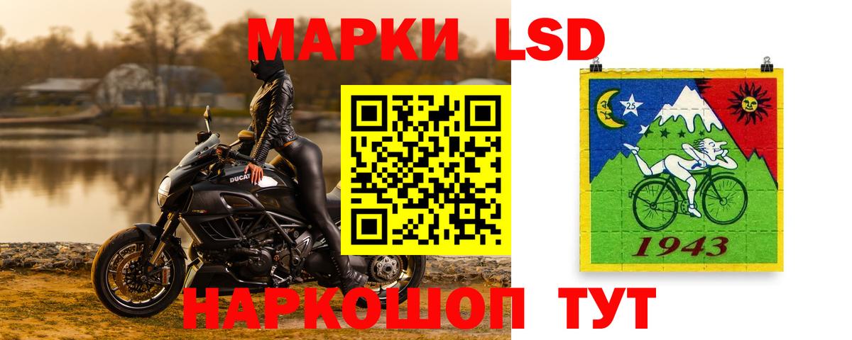 kraken ссылки  Гатчина  ЛСД экстази ecstasy 