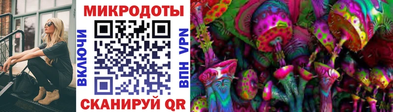 Галлюциногенные грибы Psilocybe блэк спрут ONION Гатчина