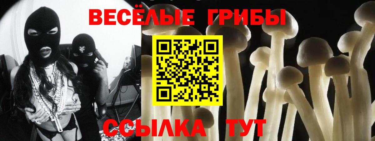 Гатчина  Галлюциногенные грибы Magic Shrooms  Вход с VPN 