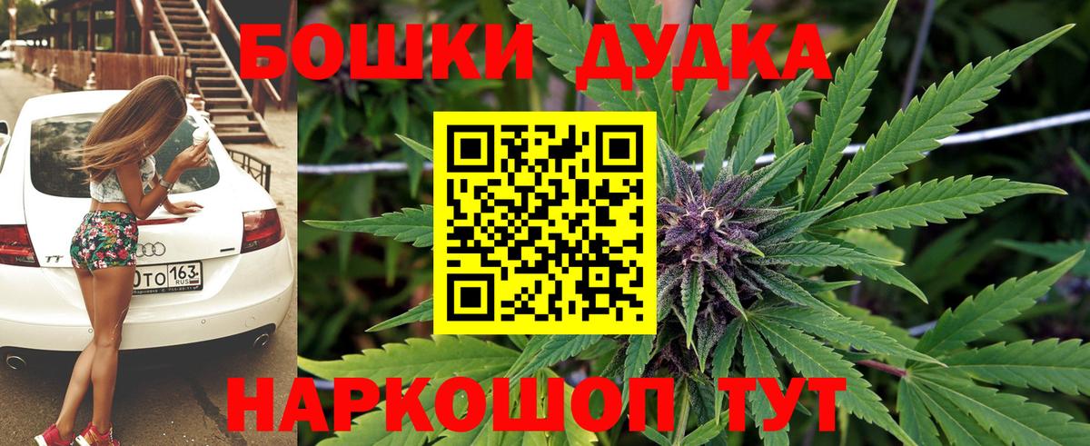 Бошки Шишки план Гатчина